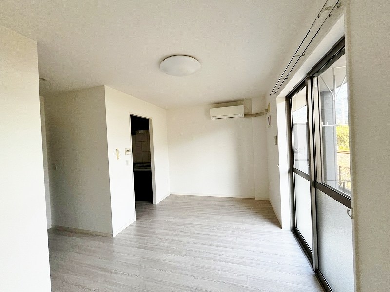 レマーレ  その他29