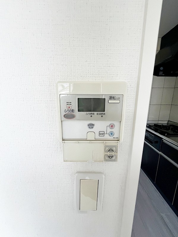 レマーレ  その他35