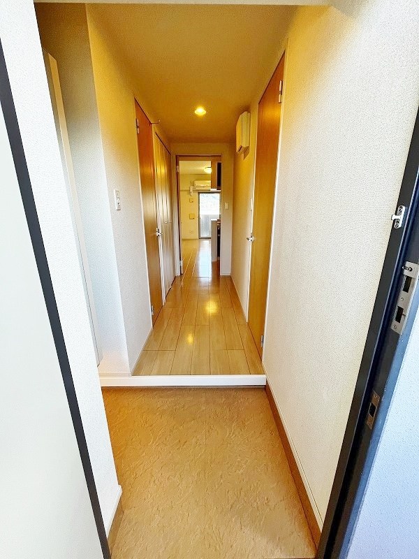 エヴァーグリーンQ その他9