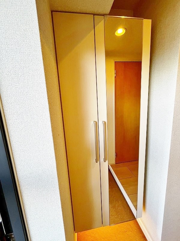 エヴァーグリーンQ その他12