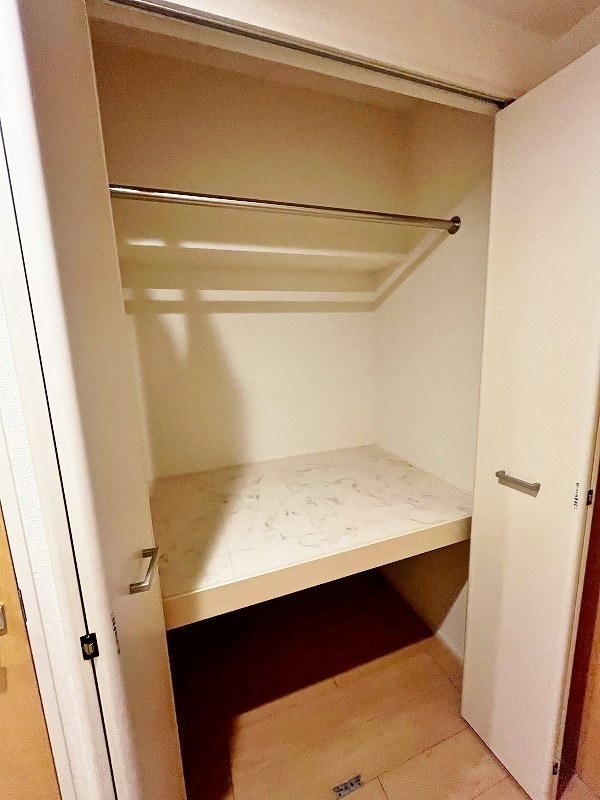 エヴァーグリーンQ その他22