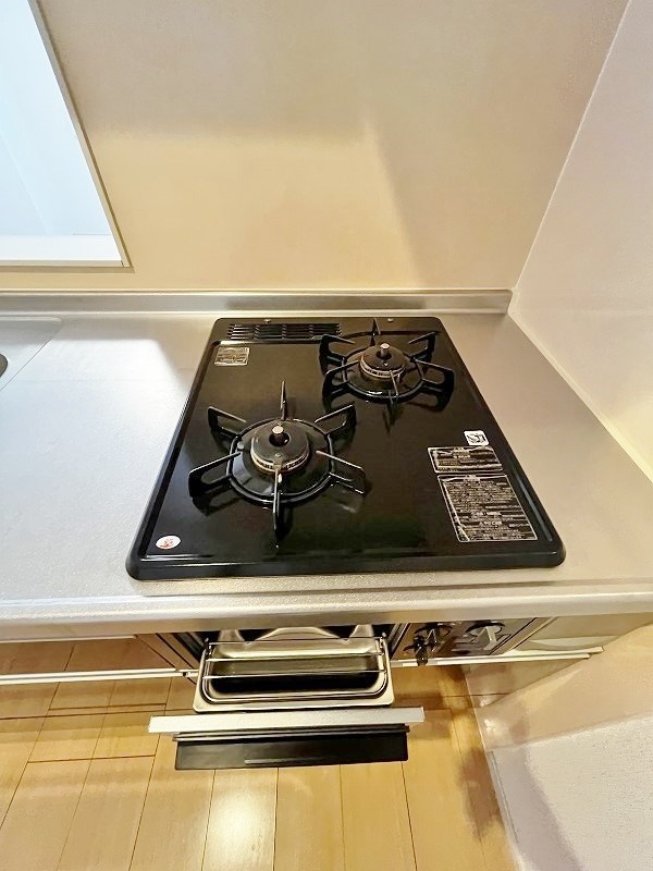 エヴァーグリーンQ その他30