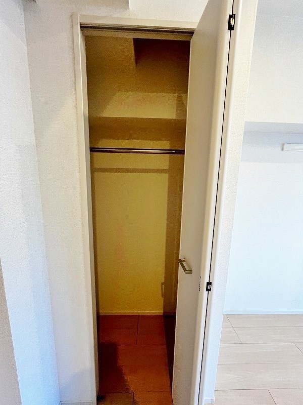 エヴァーグリーンQ その他33