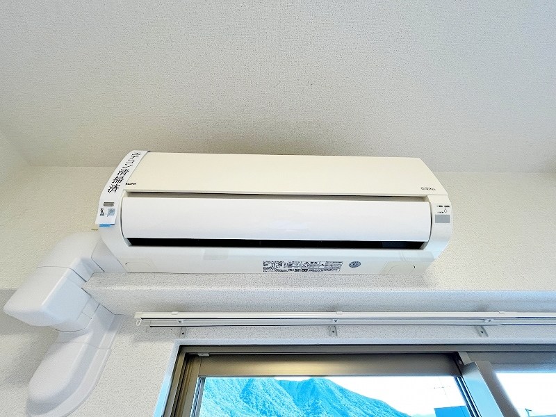 エヴァーグリーンQ その他42