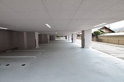 エヴァーグリーンQ その他11