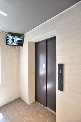 エヴァーグリーンQ その他15