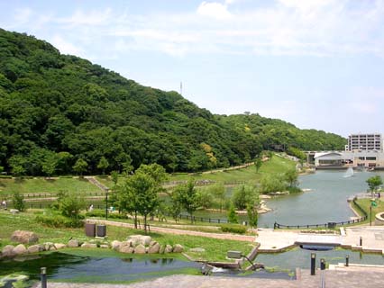 シャーメゾンシエロ  周辺画像7