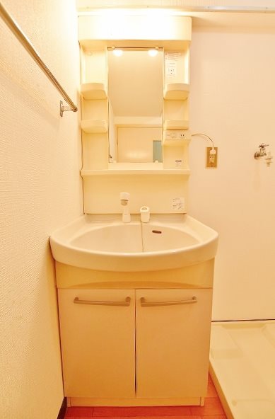 オアシス若園Ⅲ その他1