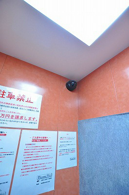 デザイナープリンセス７７ その他24