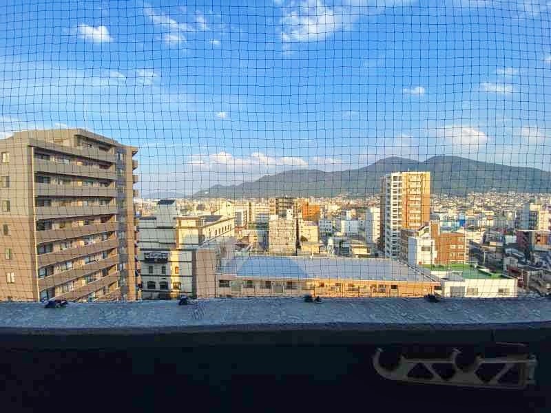 ロイヤルエレガンス  その他39