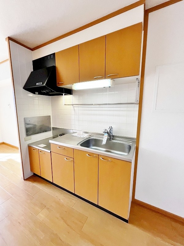 オードピュールⅠ  その他32