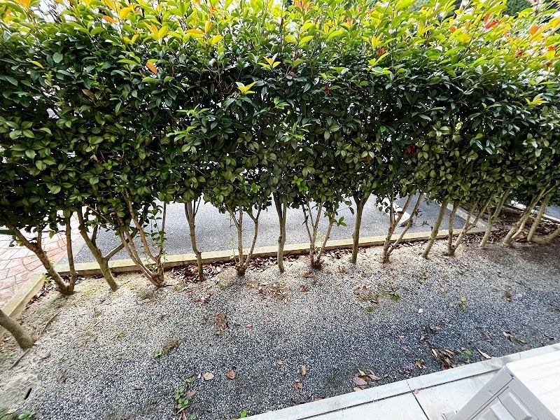 リンデンバーム　Ｂ棟  ベランダ