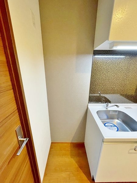 ギャラクシーヴィーラブライト その他20