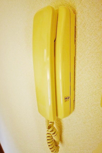 カメリアⅡ その他3