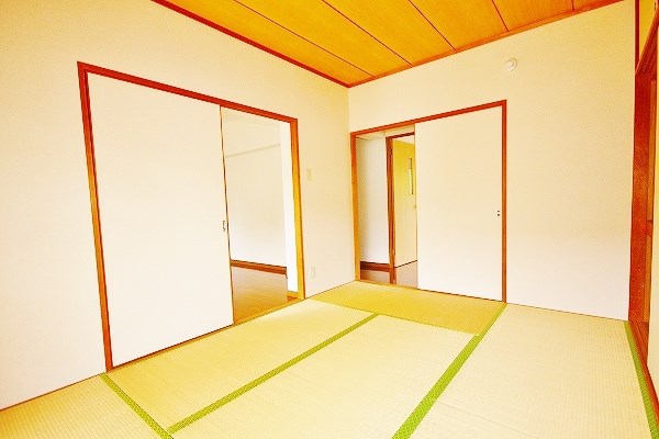 カメリアⅡ その他25