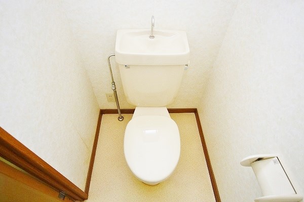 カメリアⅡ その他2