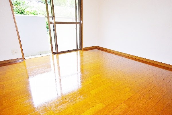 カメリアⅡ その他18