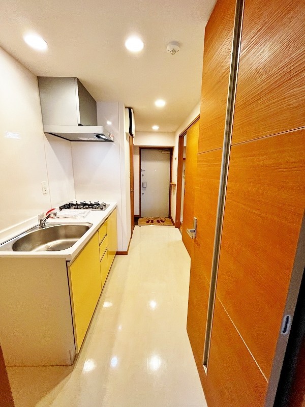 NEW SUN RIVER １５番館（ニューサンリバー１５番館）  その他28