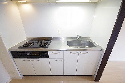 高峰ポロニア  その他22