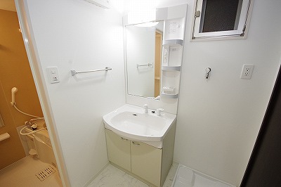 Ｐｌａｔｉｎｕｍ　Ｓｔｙｌｅ（プラチナスタイル) その他1