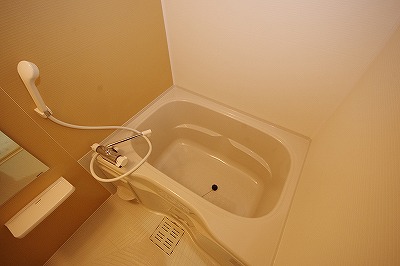 Ｐｌａｔｉｎｕｍ　Ｓｔｙｌｅ（プラチナスタイル) 風呂画像