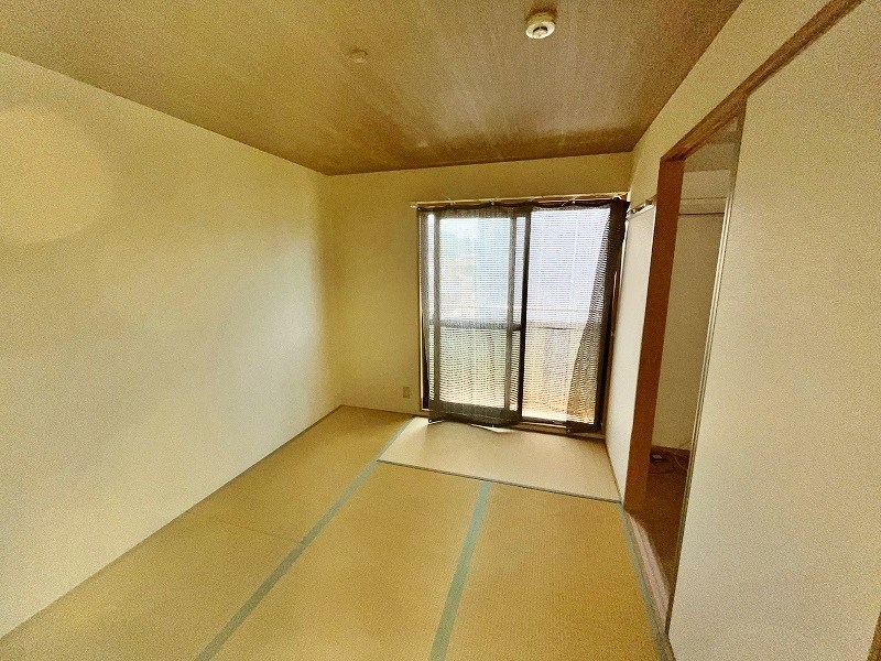 Ｍグリーンズ その他25