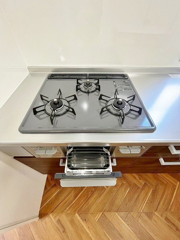 プレジールイトー その他17