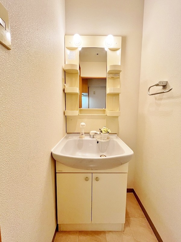 デザイナープリンセス７７ その他1