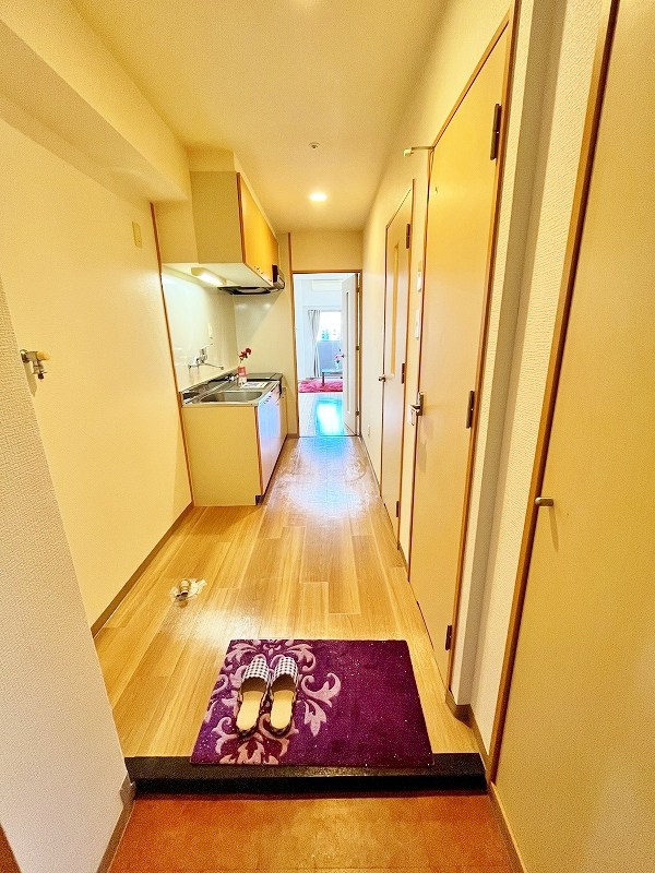 デザイナープリンセス７７ その他9