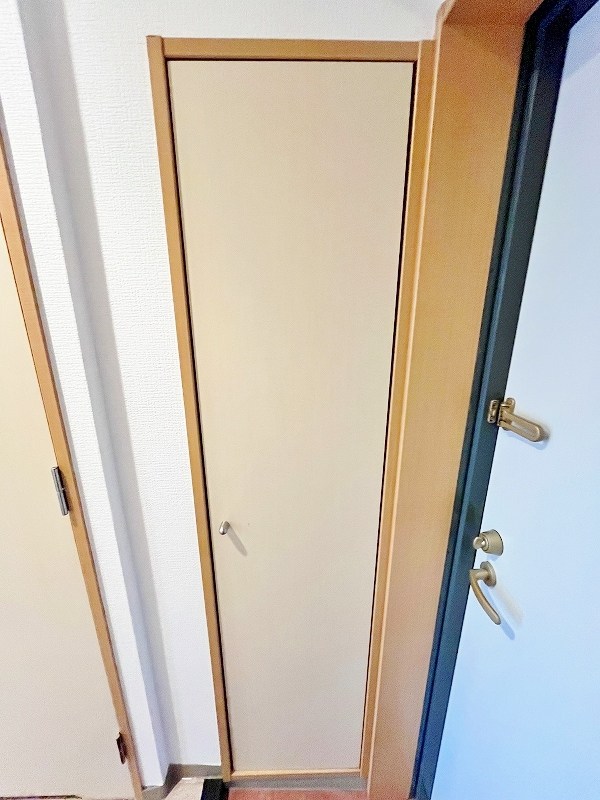 デザイナープリンセス７７ その他11