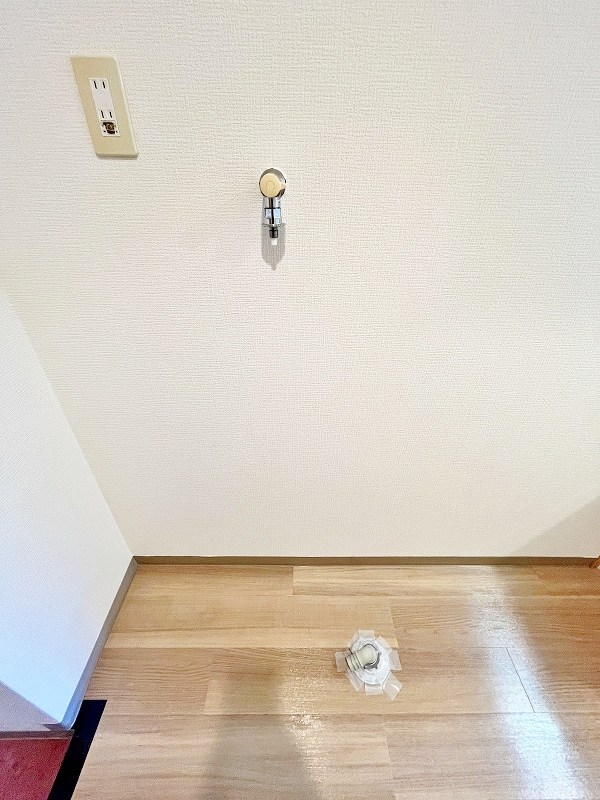 デザイナープリンセス７７ その他13