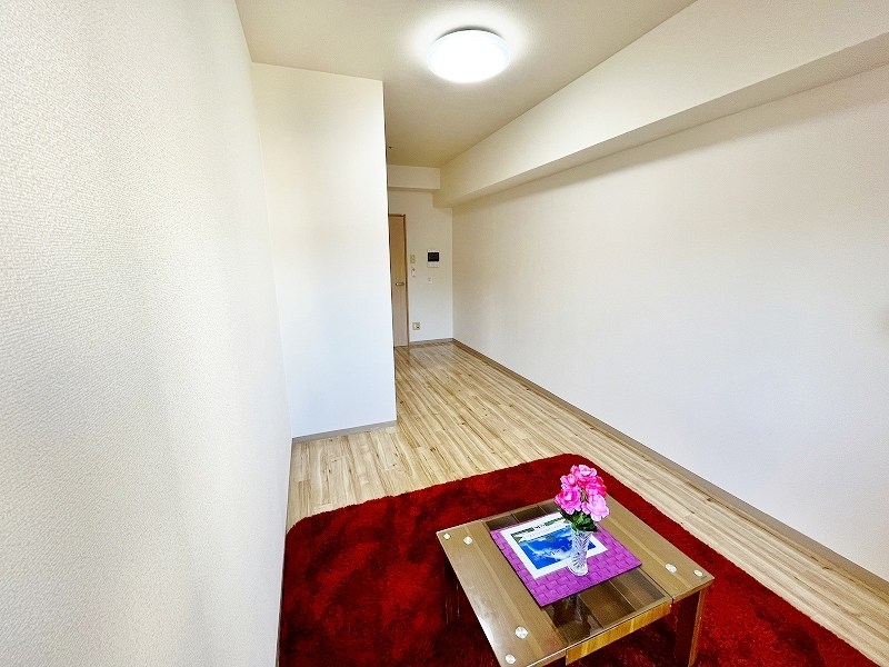 デザイナープリンセス７７ その他21