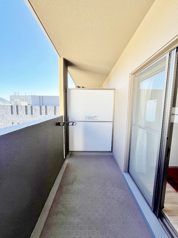 デザイナープリンセス７７ その他24