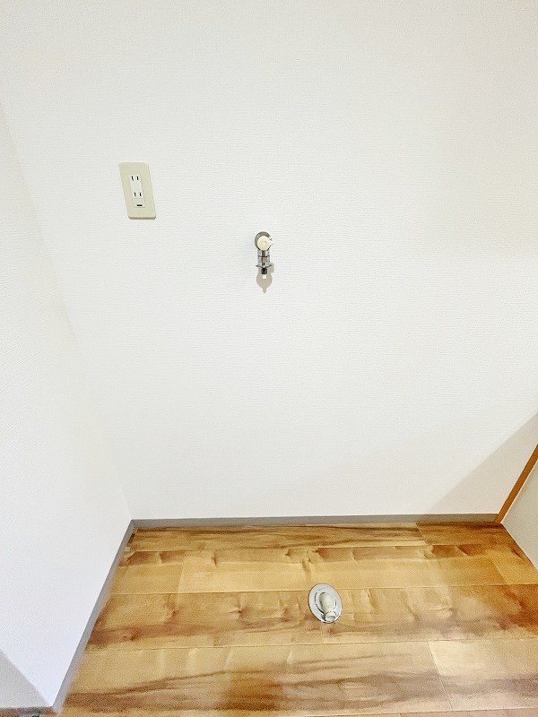 デザイナープリンセス７７  その他13