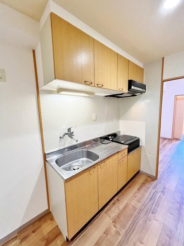 デザイナープリンセス７７  その他14