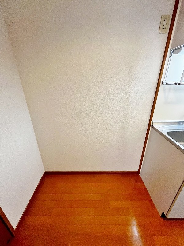 ナセールありなが その他24