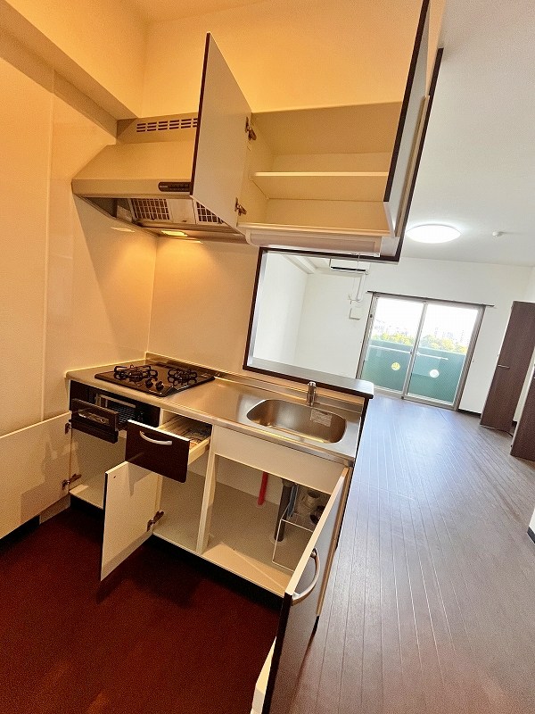 ドレスローズ その他19