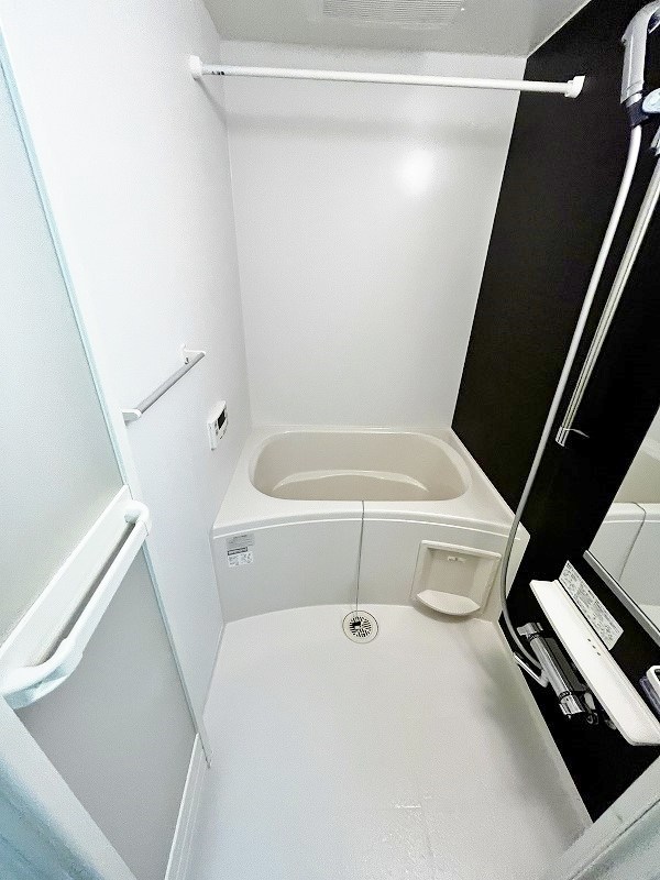 エヴァーグリーンQ その他8