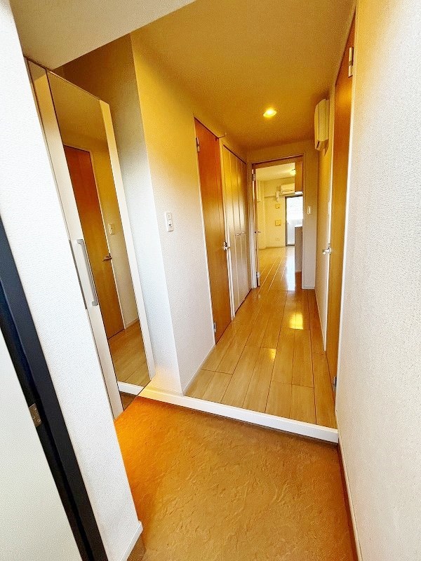 エヴァーグリーンQ その他11