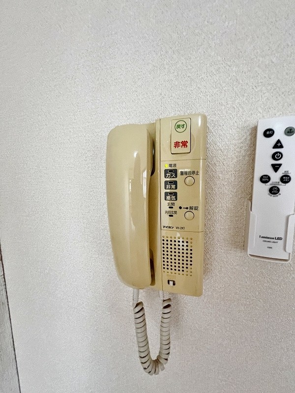 ナセールありなが その他3