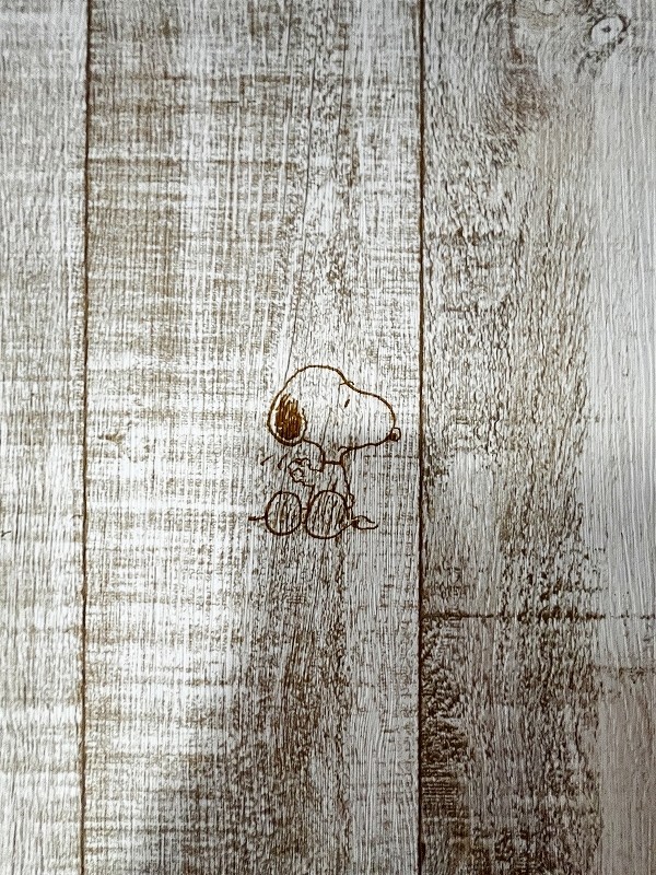 ナセールありなが その他29