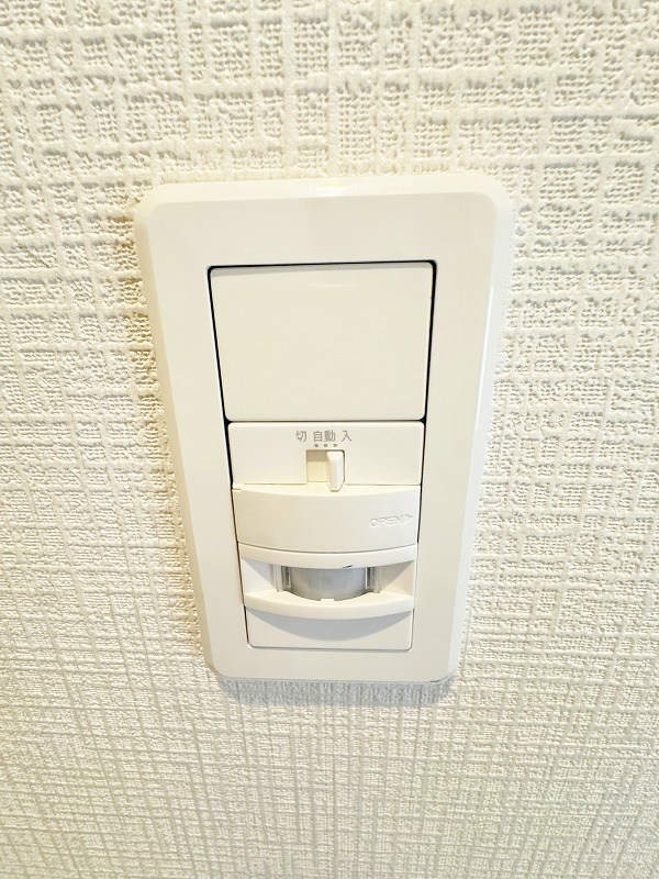 フェルト168 その他12