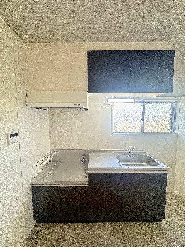 フェルト168 キッチン