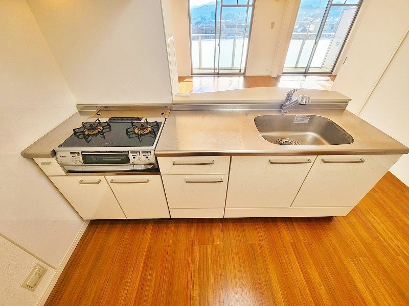 シャインプラス  その他20