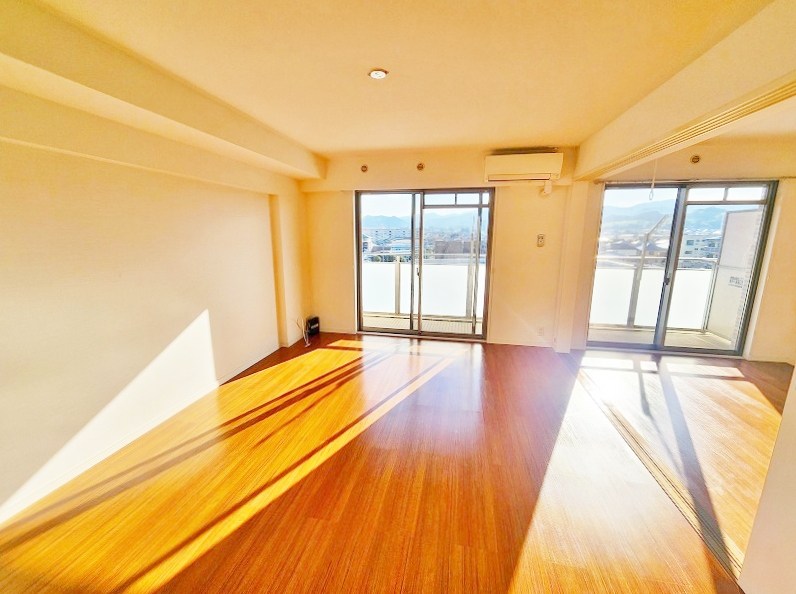 シャインプラス  その他28