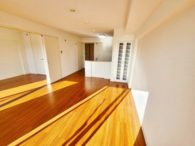 シャインプラス  その他29