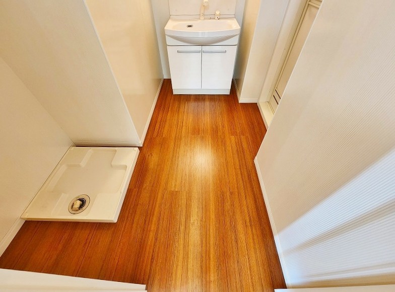 シャインプラス  その他30