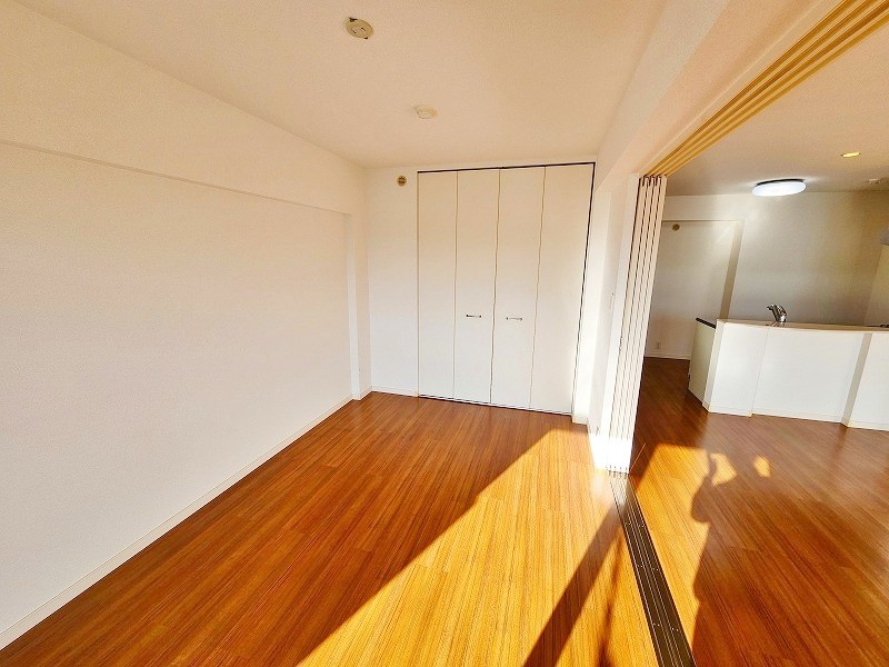 シャインプラス  その他34