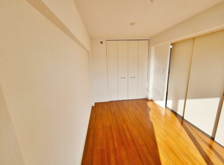 シャインプラス  その他38