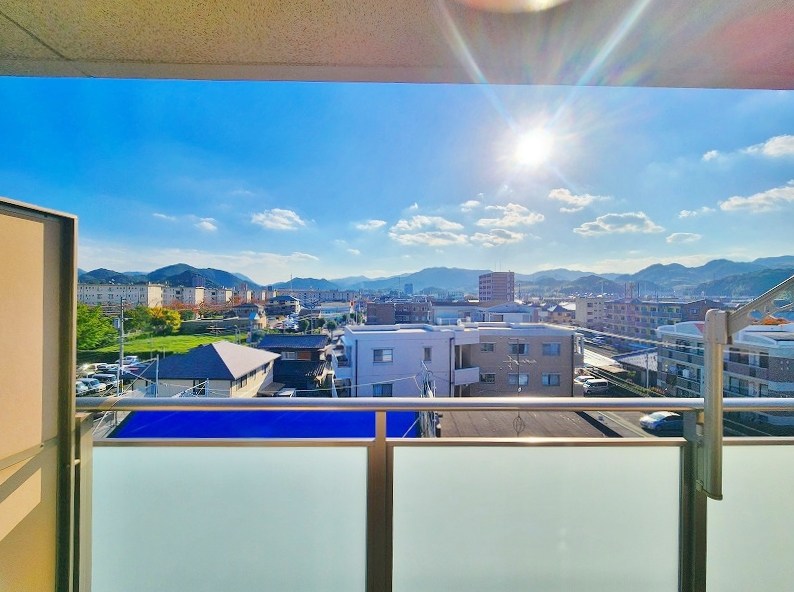 シャインプラス  その他40